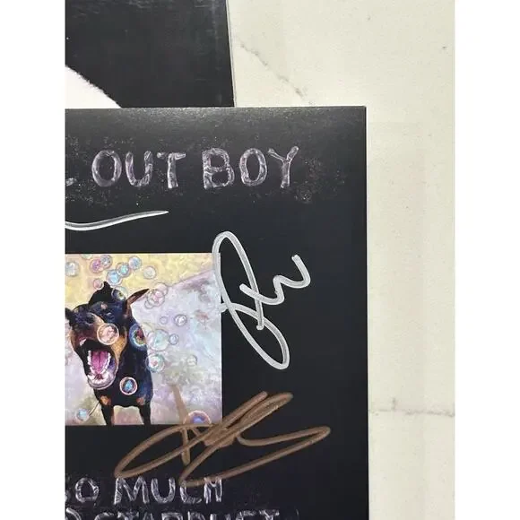 FALL OUT BOY SO MUCH FOR STARDUST SIGNED AUTOGRAPHED ART CARD COA ACOA #11